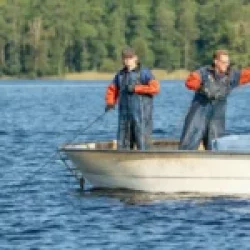 Озерная рыбалка: путеводитель по лучшим водоемам и трофеям